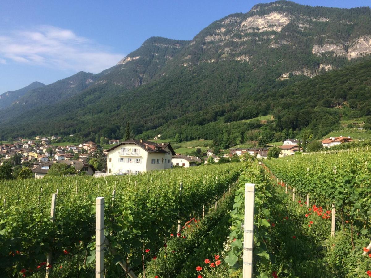 Strengen Guesthouse Caldaro Bagian luar foto