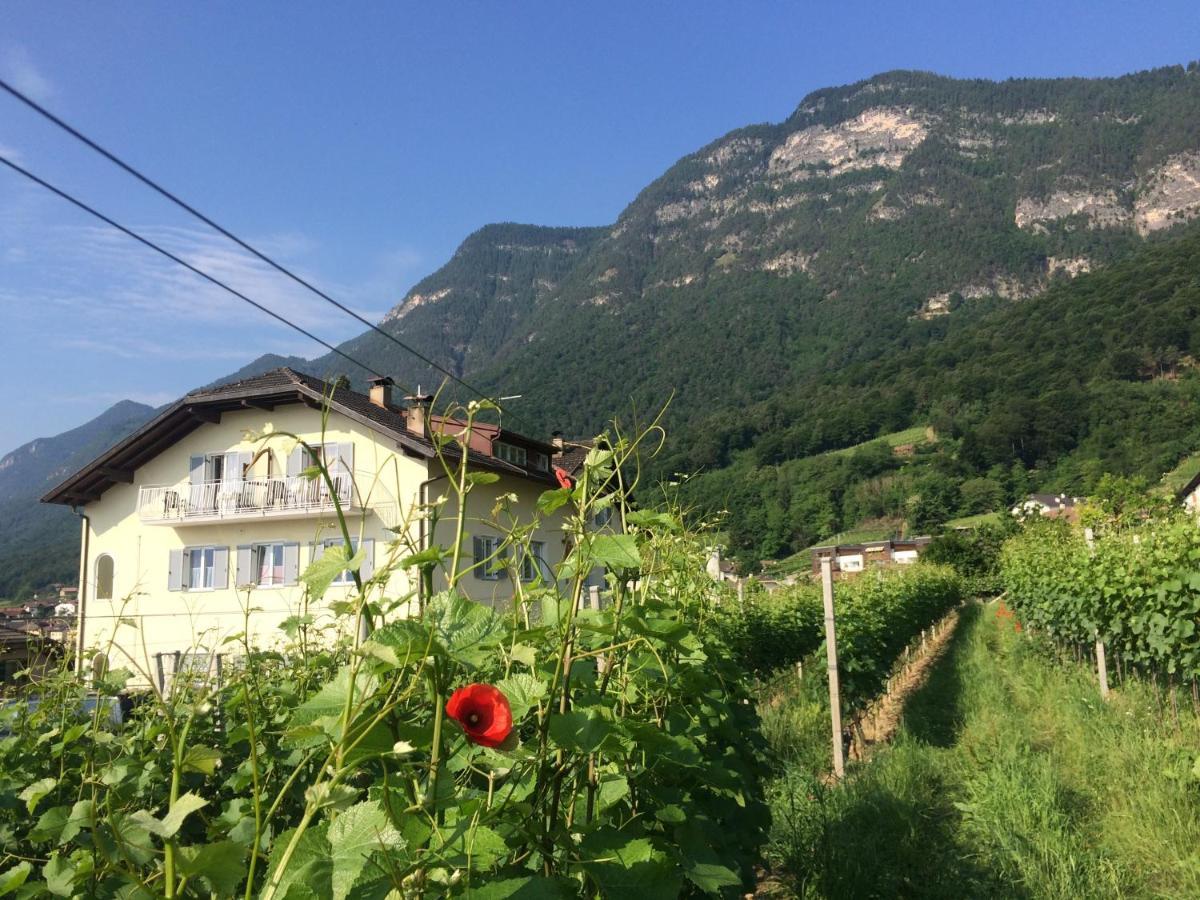 Strengen Guesthouse Caldaro Bagian luar foto
