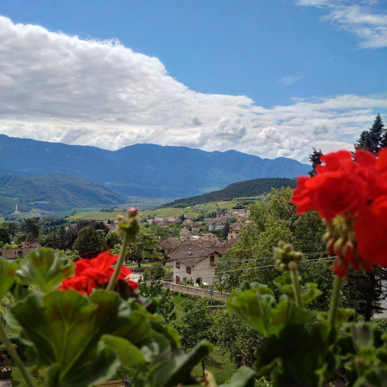 Strengen Guesthouse Caldaro Bagian luar foto
